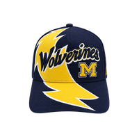 WOLVERINE PATCH HAT